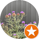 墨尔本city汽修厂 profile picture