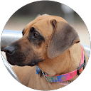susan trigg profile picture